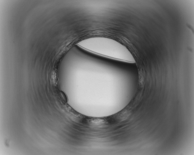 X0000101410669200807071008