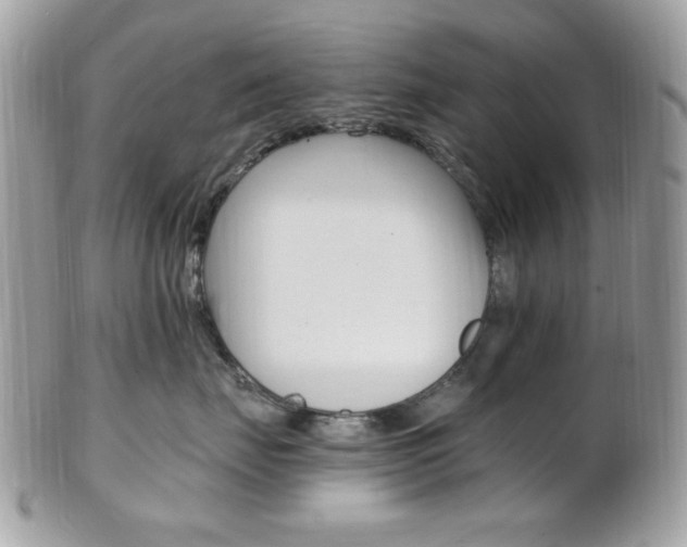 X0000101410671200807071008
