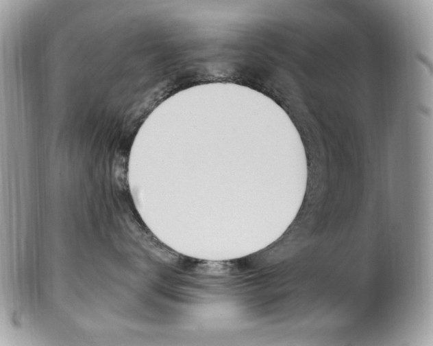 X0000101410672200807071008