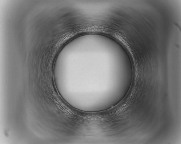 X0000101410673200807071007
