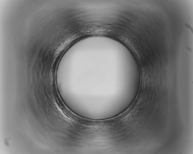 X0000101410674200807071007