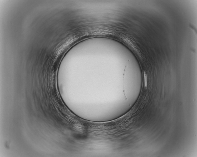X0000101410675200807071007
