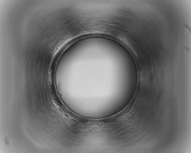 X0000101410676200807071007