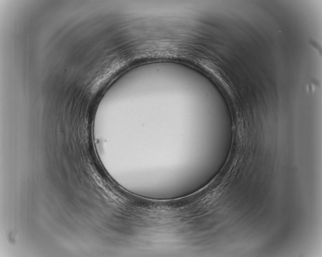 X0000101410677200807071007