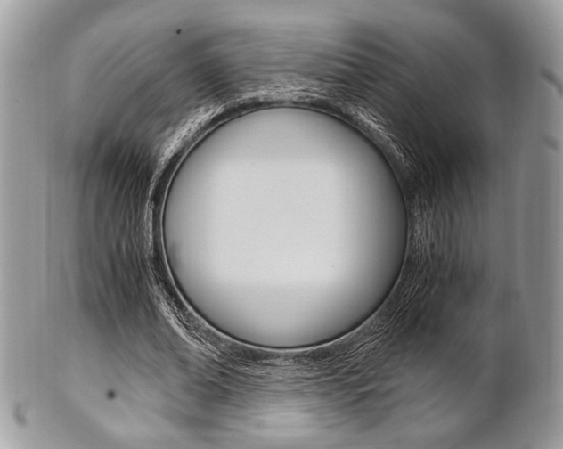 X0000101410678200807071007