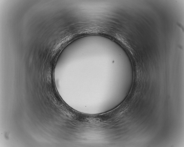 X0000101410681200807071007