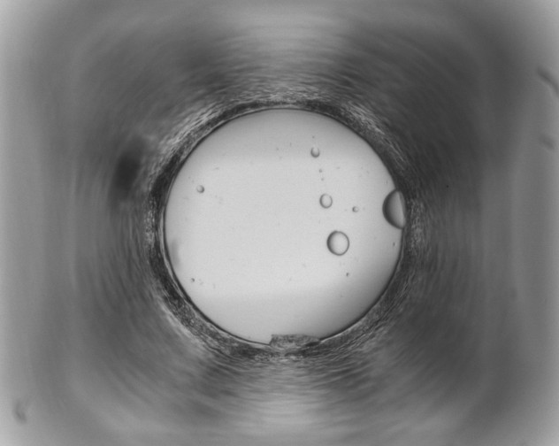X0000101410683200807071007