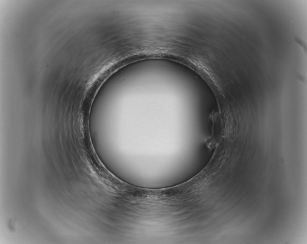 X0000101410684200807071007