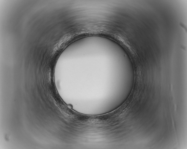 X0000101410685200807071007