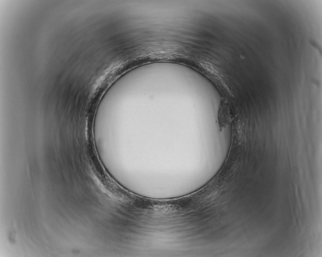 X0000101410686200807071007
