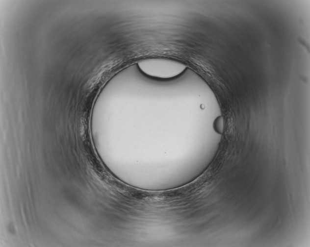 X0000101410687200807071007