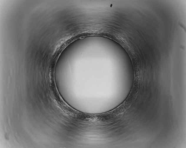 X0000101410688200807071007