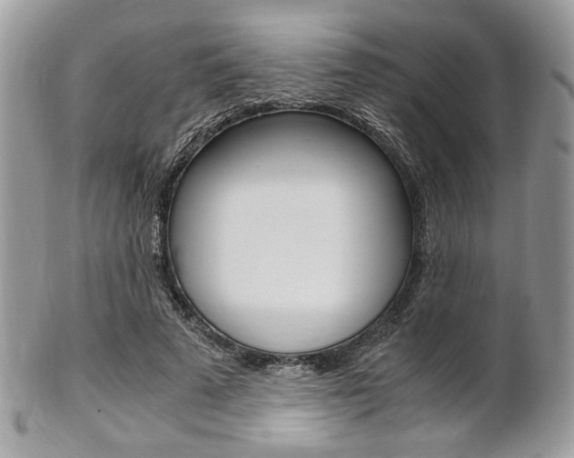 X0000101410689200807071007