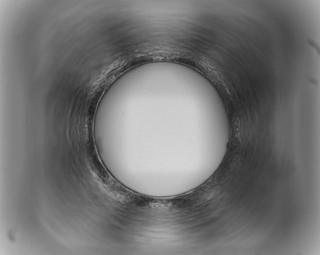 X0000101410690200807071007