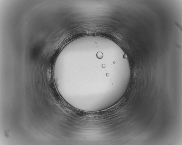 X0000101410691200807071007