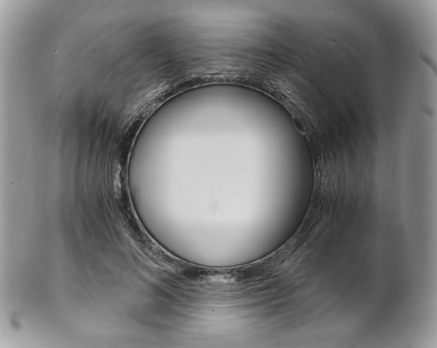 X0000101410692200807071007
