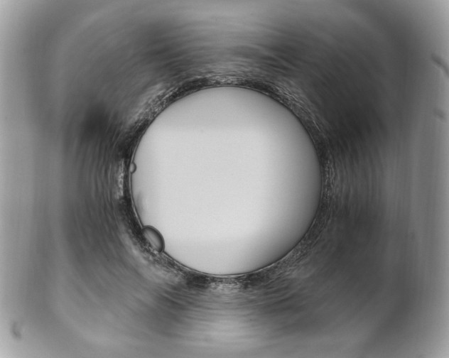 X0000101410694200807071007