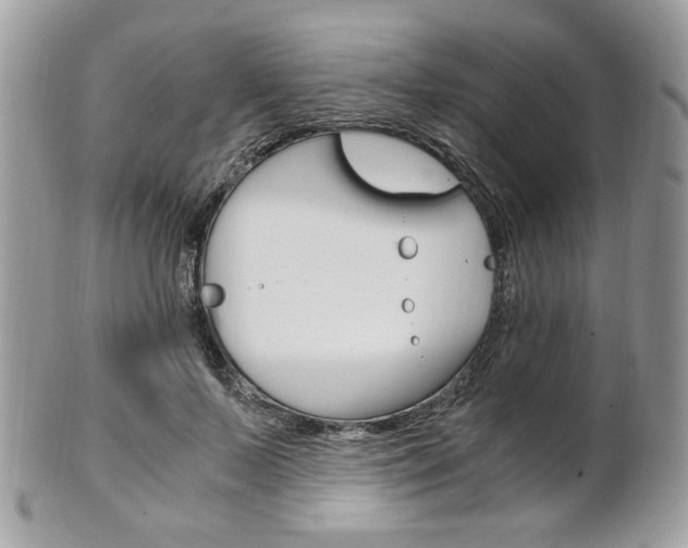 X0000101410695200807071007