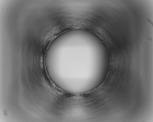 X0000101410696200807071007