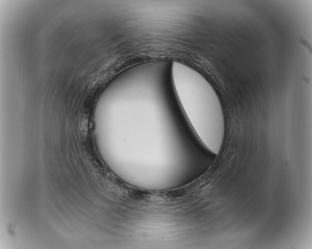 X0000101410697200807071007