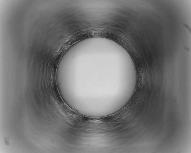 X0000101410698200807071007