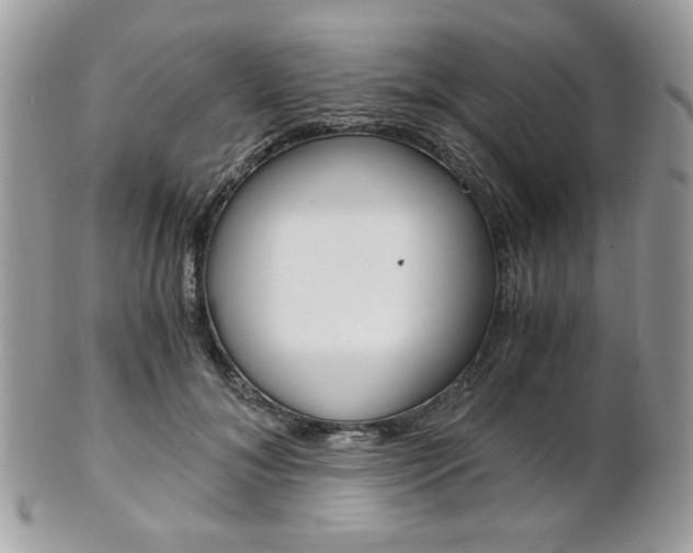 X0000101410700200807071007