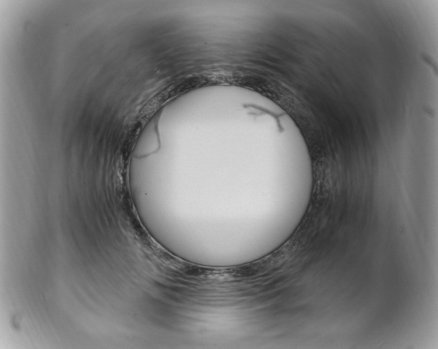 X0000101410702200807071007