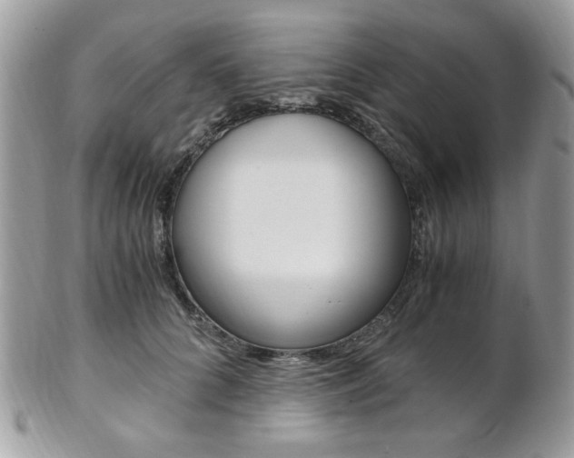 X0000101410704200807071007