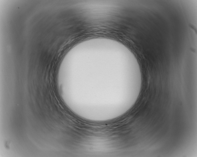 X0000101410705200807071007