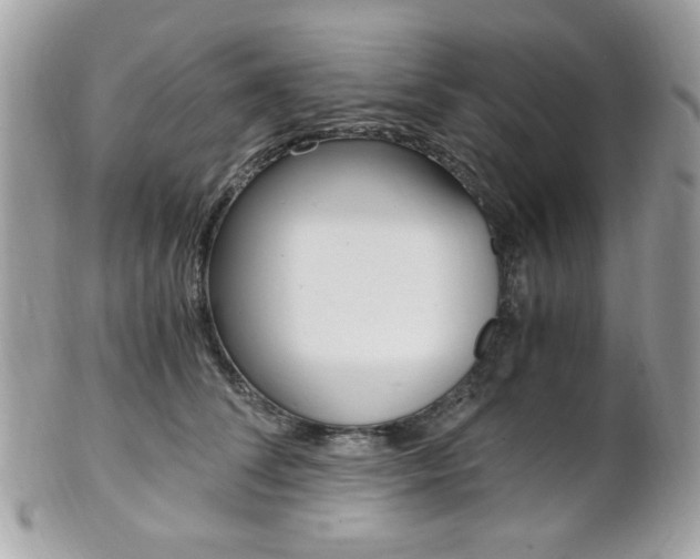 X0000101410708200807071007