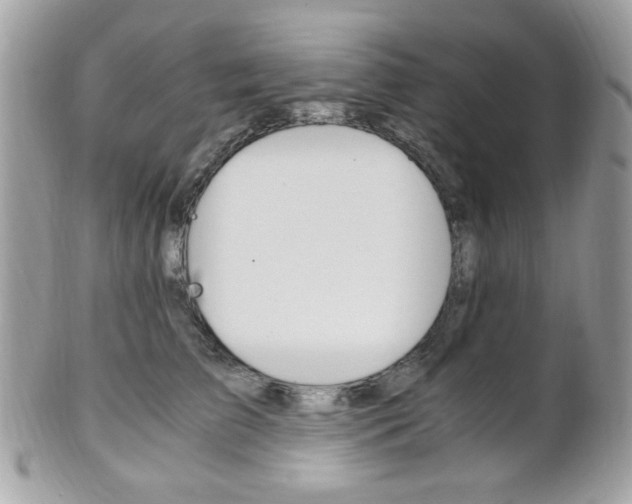 X0000101410709200807071007