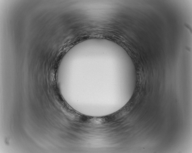 X0000101410711200807071006