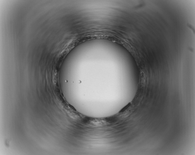 X0000101410712200807071006