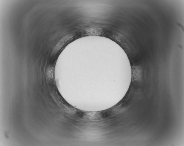 X0000101410713200807071006