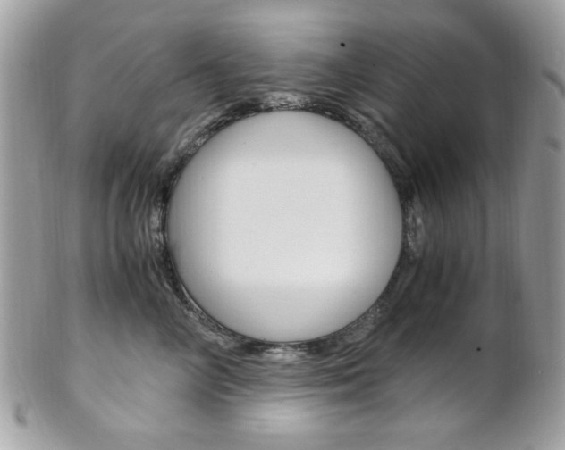 X0000101410714200807071006