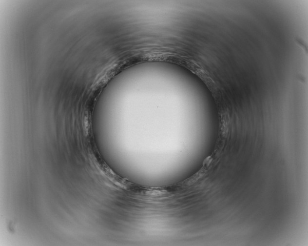X0000101410716200807071006