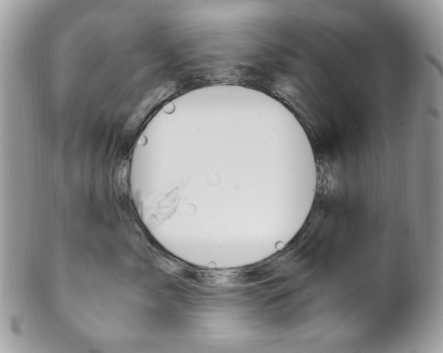 X0000101410717200807071006