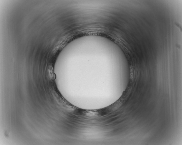 X0000101410718200807071006