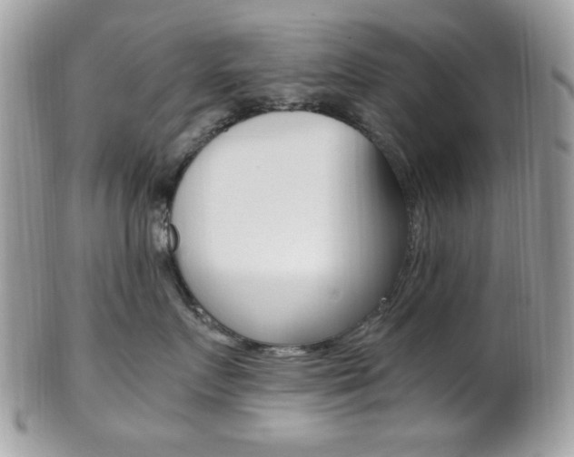 X0000101410719200807071006