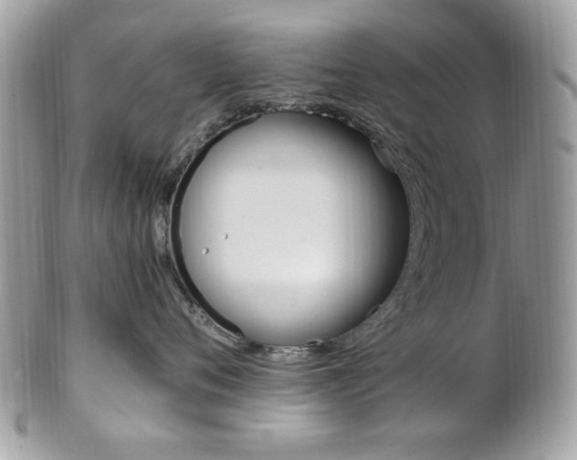 X0000101410720200807071006