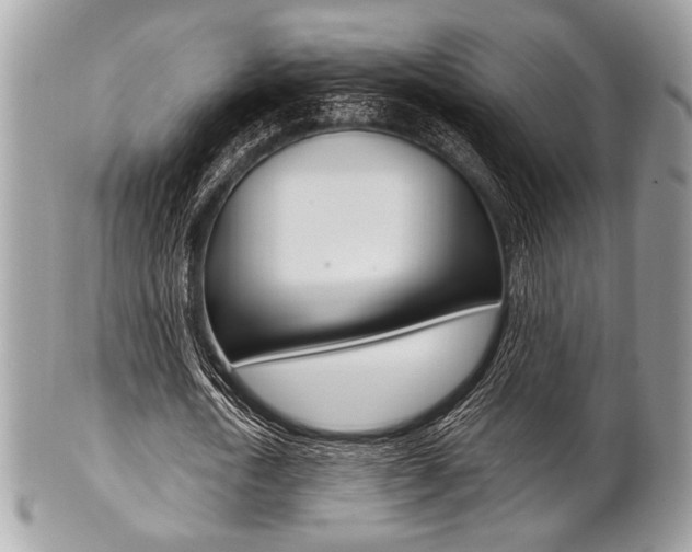 X0000101410722200807071006