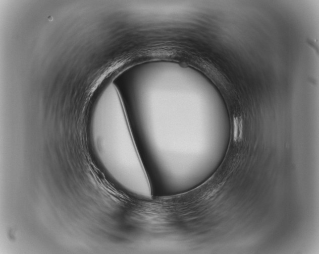 X0000101410723200807071006