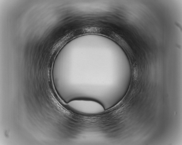 X0000101410725200807071006