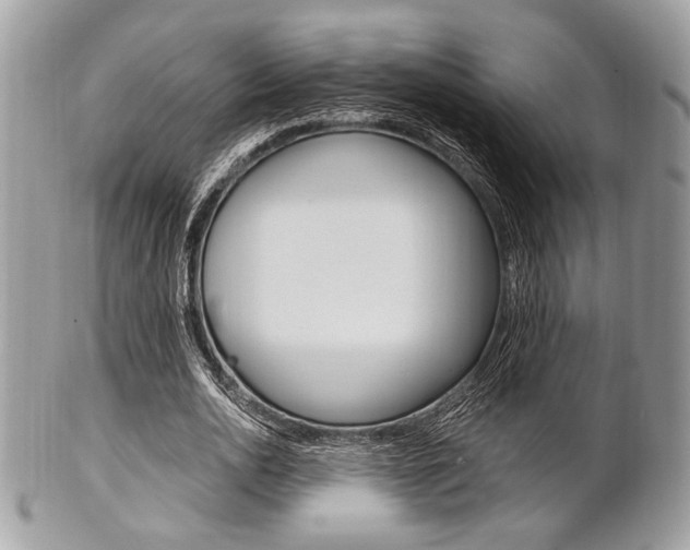 X0000101410726200807071006