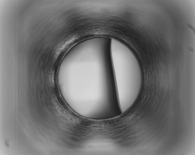 X0000101410727200807071006