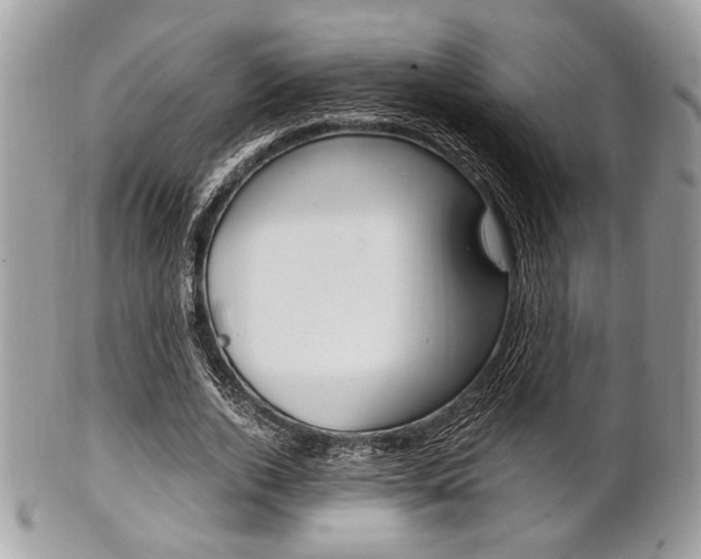 X0000101410728200807071006