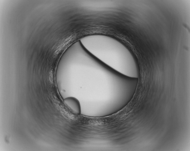 X0000101410729200807071006