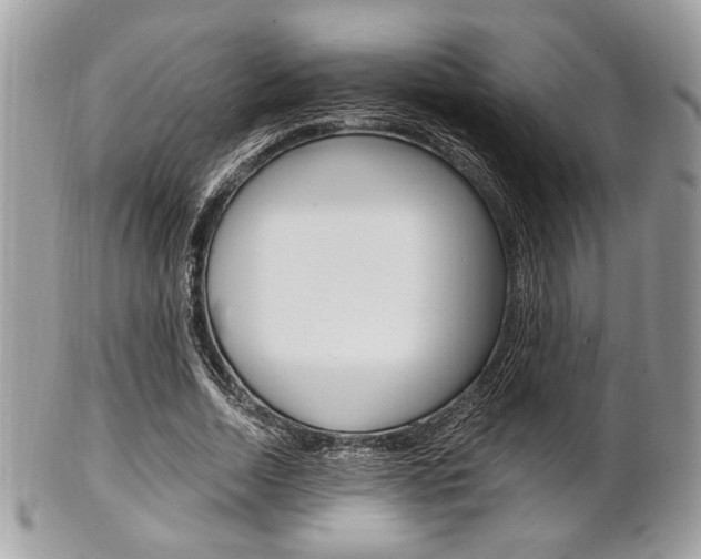 X0000101410730200807071006