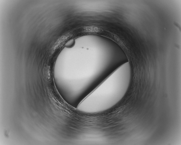 X0000101410731200807071006