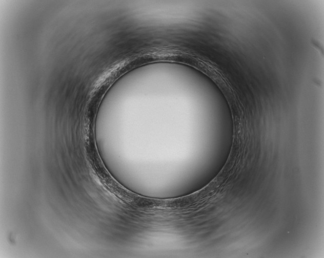 X0000101410732200807071006